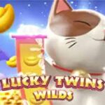 Situs Slot Lucky Twins Wilds